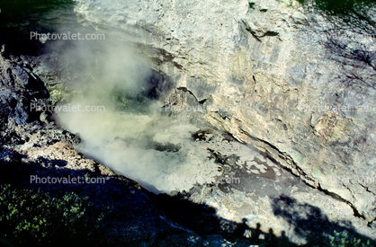 Geothermal Feature, Rotorua