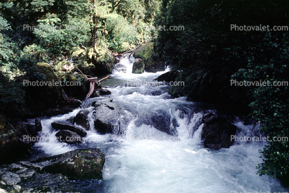 Turbulent Water, Rapids, River, rocks