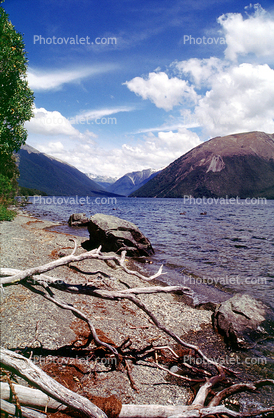 Nelson Lake, New Zealand, water