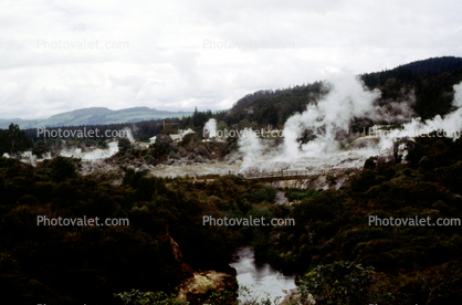 Steam Geysers