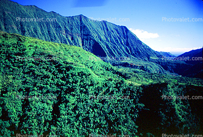 Island of Tahiti, Rain Forest