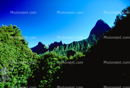 Mountains, Rain Forest, Island of Tahiti