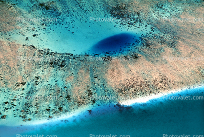 Coral Reef, Island of Tahiti