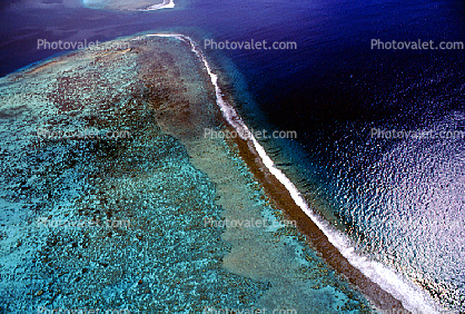 Island of Moorea, Coral Reef