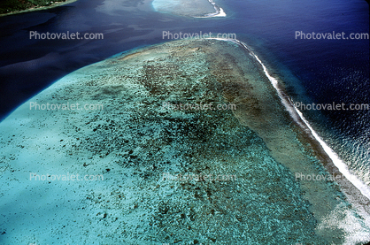 Island of Moorea, Coral Reef