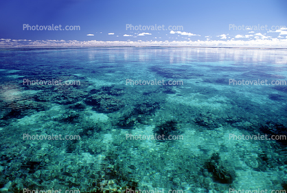 Island of Moorea