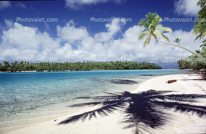 Beach, Palm Trees, shadow, Aitutaki, Cook Islands