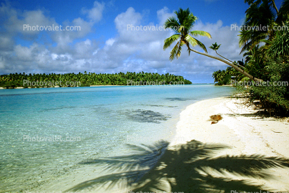 Beach, Palm Trees, shadow. Beach, Palm Trees, Aitutaki, Cook Islands