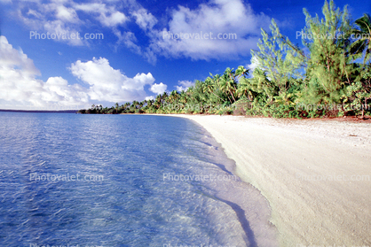 Trees, Beach, Cumulus Clouds, Pacific Ocean, Ripples, Tiny Wavelets, Aitutaki, Cook Islands