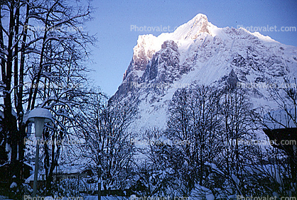 Mountain, Snow, Grindelwald, 1950s