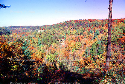 Hills, Mountains, fall colors, Autumn, Trees