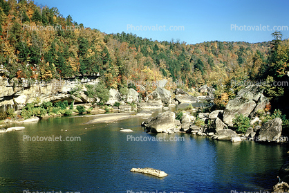 lake, pond, water, forest, stone, rocks