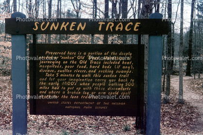 Sunken Trace, Old Trace, Natchez Trace Parkway