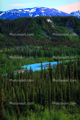 Mountain, Forest, Woodland, trees, river