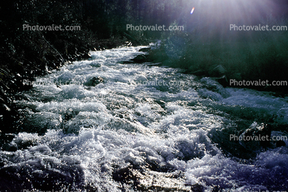 river, cascade, rapids, vibrant, turbulent