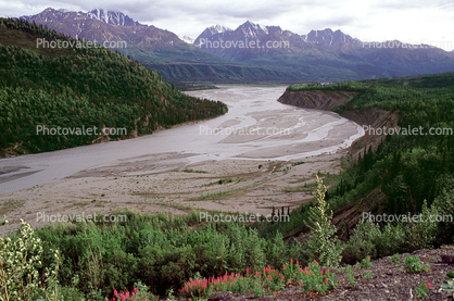Mudflats, River, Mountains, forest