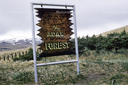 The Adak Forest