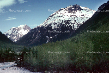 Mountains, forest, woodland, river, valley, Railroad to White Pass