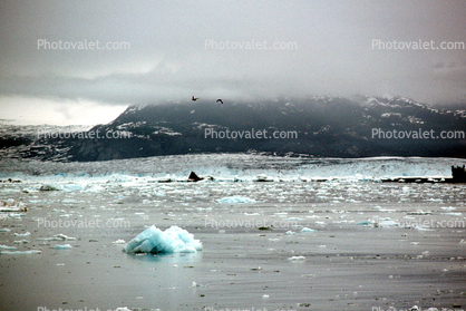 Columbia Glacier, Prince William Sound, Mountains, Coast, Coastline