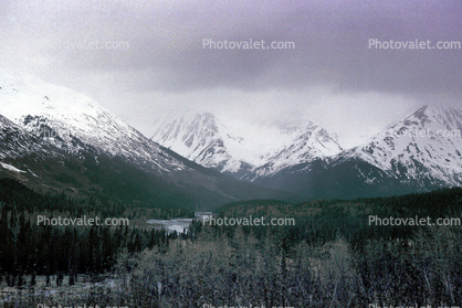 Forest, River, Railroad to Seward, Mountains