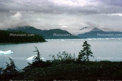 view from Growler Island, Icebergs, Valdez, Coast, Coastline