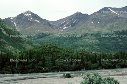 Nenana River, Forest, Trees, Mountains