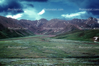 Valley, Mountains, Denali National Park