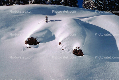 Sugery Snow hill, cold, winter, smooth snow, rocks, lone tree, Equanimity