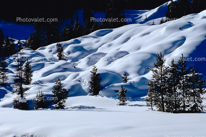 smooth snow, hills, Forest, Snow, Mountains, Trees, Cold, Frozen, Snowy, Winter, Wintry