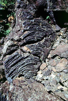 Lava Folds