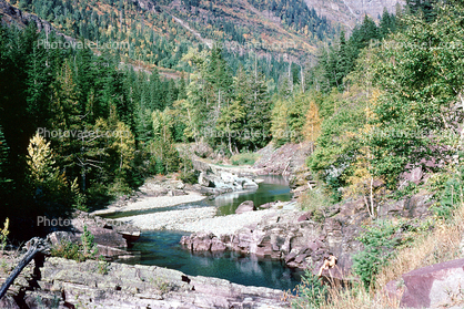 River, Valley, Trees, Stream, Glacier National Park