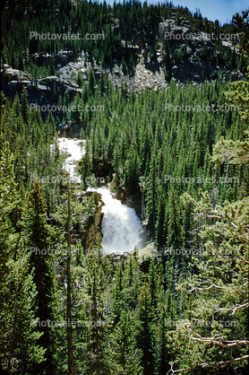 Beartooth Mountains, Forest, Trees, Lodgepole Pine, waterfall, falls, river