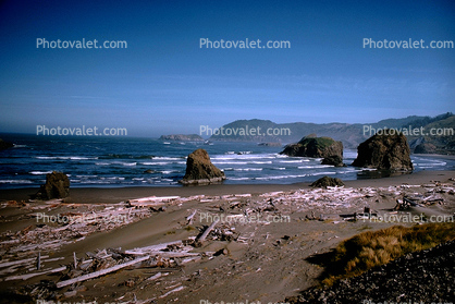 Pacific Ocean, Seascape, Driftwood, Rocks, Beach, Sand, Sandy