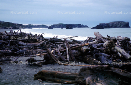 Driftwood, Shore, Seashore, Rocks, Pacific Ocean, Bandon