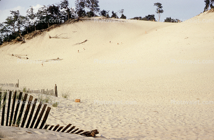 Sand Dunes, Coast, Sandy, Oregon Dunes National Recreation Area