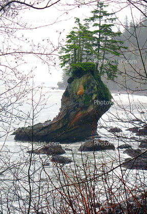 Olympic Peninsula, Pacific Ocean, rocks, trees
