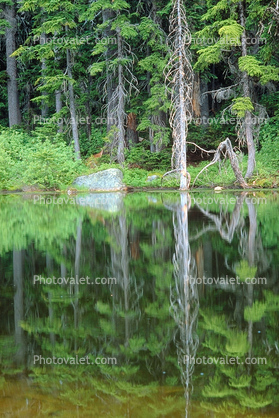 Reflecting Boulder, lake, pond, reflection, water