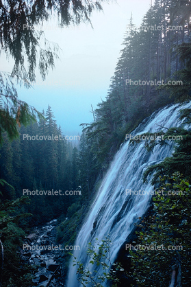 Narada Falls and Forest