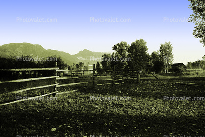 Fence, Snake River Ranch