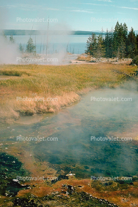 Hot Spring, Geothermal Feature, activity