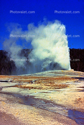 Hot Spring, Geyser, Geothermal Feature, activity, Extremophile, Thermophile
