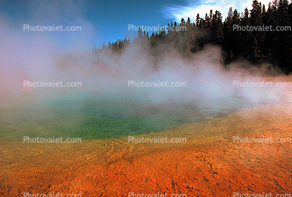 steam, trees, forest, Hot Spring, Geothermal Feature, activity