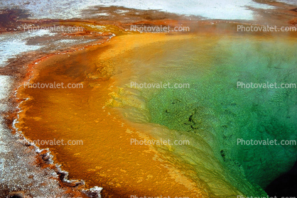 Extremophile, Thermophile, Hot Spring, Geothermal Feature, activity