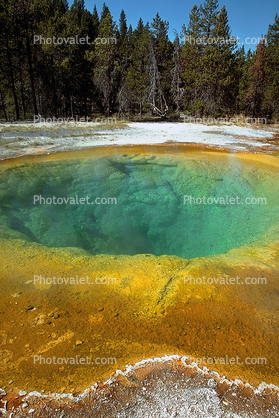 Morning Glory, Hot Spring, Geothermal Feature, activity, Extremophile, Thermophile