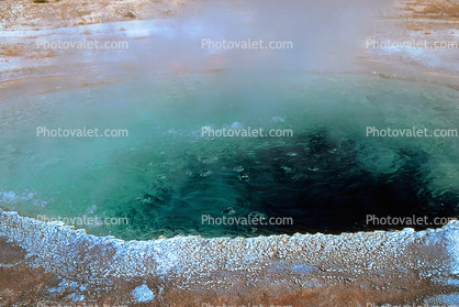 bubbles and steam, Extremophile, Thermophile, Hot Spring, Geothermal Feature, activity