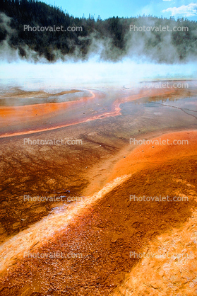 Grand Prismatic Hot Springs, Hot Spring, Geothermal Feature, activity, Extremophile, Thermophile, geochemically extreme conditions