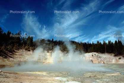 steam, trees, clouds, whispy cirrus, Hot Spring, Geothermal Feature, activity
