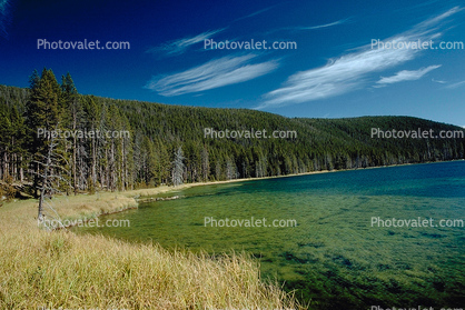 lake, peaceful, forest, woodland, moss, clear water, clarity, Equanimity