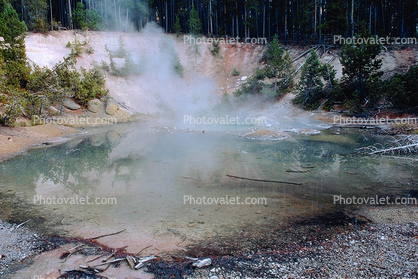 steam, hill, dead tree, water, Hot Spring, Geothermal Feature, activity