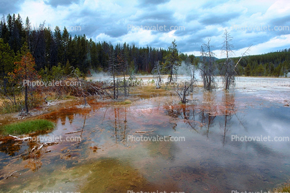 Trees, reflection, clouds, colors, Hot Spring, Geothermal Feature, activity